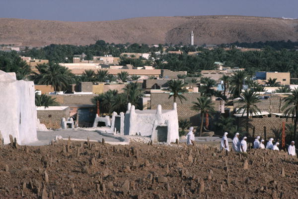 View of the cemetery on the western side of the city (photo)  a 