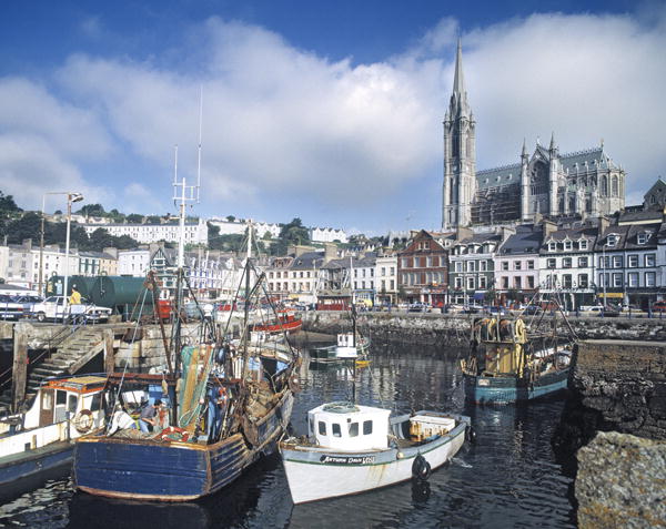 View of the harbour with St. Colemans Cathedral (photo)  a 