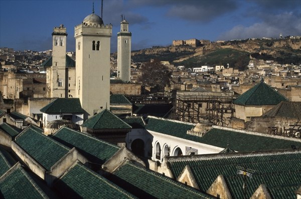 View of the mosque and the roofs (photo)  a 