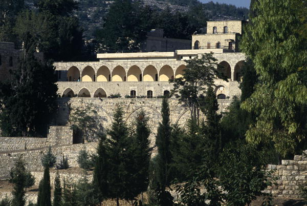 View of the palace (photo)  a 