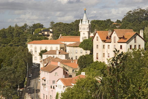 View of the town (photo)  a 