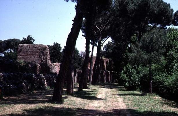 View of the park, detail of the Roman wall (photo) a 