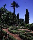 View of the parterre, designed by Giacomo Vignola (1507-73) for Cardinal Alessandro Farnese (1546-92