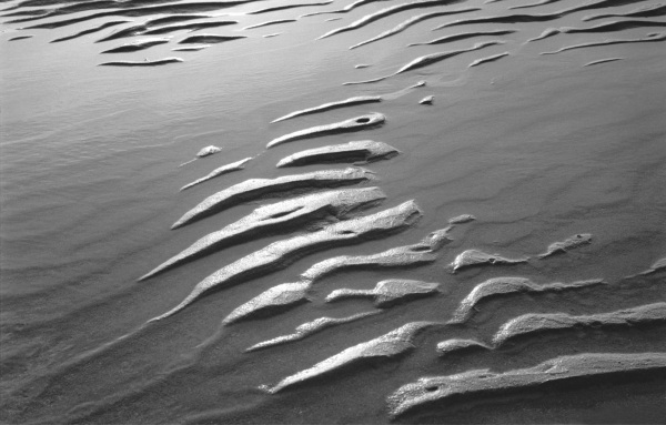 Wet sand, Porbandar (b/w photo)  a 