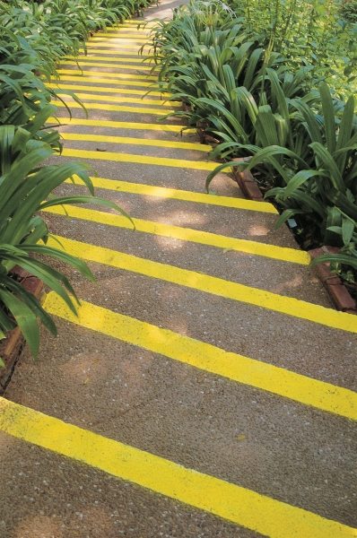 Winding steps fluorescent yellow stripes and bordering lily leaves bend gracefully, Phuket (photo)  a 