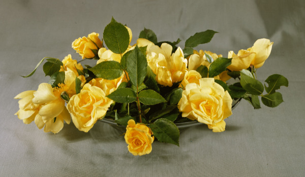 Yellow roses in a vase / Photo a 