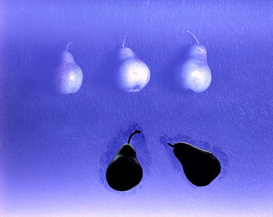 Blue Pears (after Wm. Scott) 2005 (colour photo)  a Norman  Hollands