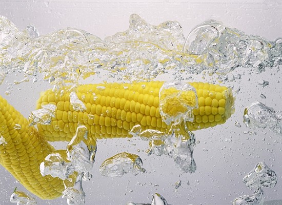 Boiling sweetcorn, 2003 (colour photo)  a Norman  Hollands