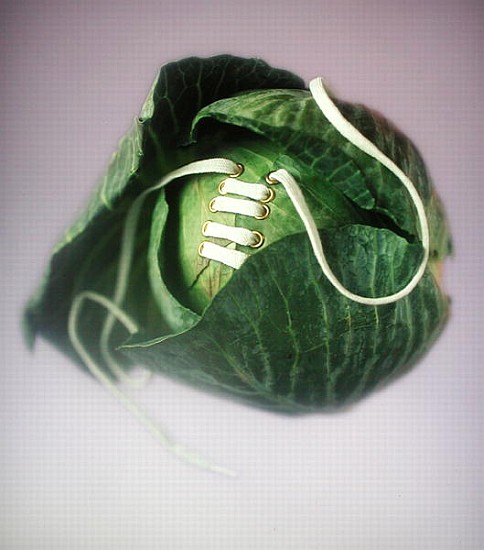 Cabbage with laces, 2000 (colour photo)  a Norman  Hollands