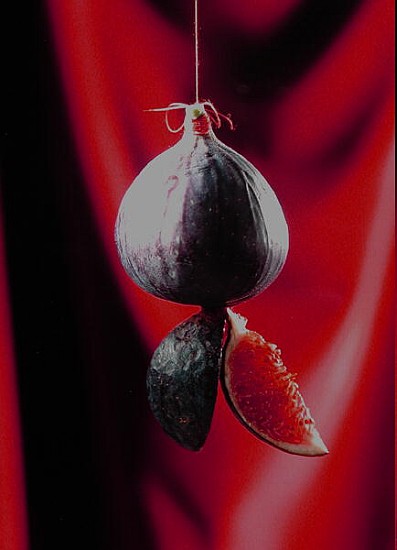 Fig on a string with segments, 2003 (colour photo)  a Norman  Hollands