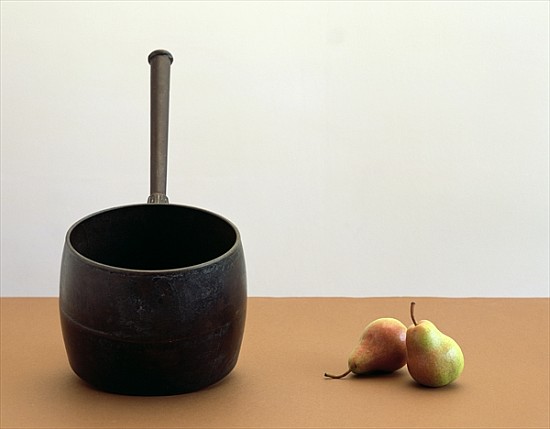 Pan & Two pears (after William Scott) 2005 (colour photo)  a Norman  Hollands