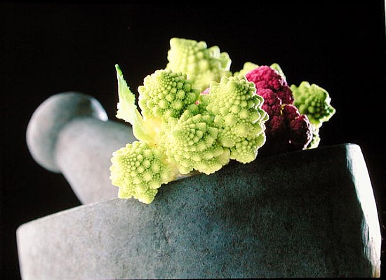 Romanescu in granite pestle & mortar, 2001 (colour photo)  a Norman  Hollands
