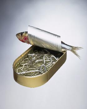 Sardine Can Inversion, 1997 (colour photo) 