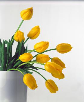 Yellow Tulips II, 1999 (colour photo) 