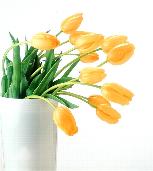 Yellow tulips I, 1999 (colour photo)  a Norman  Hollands