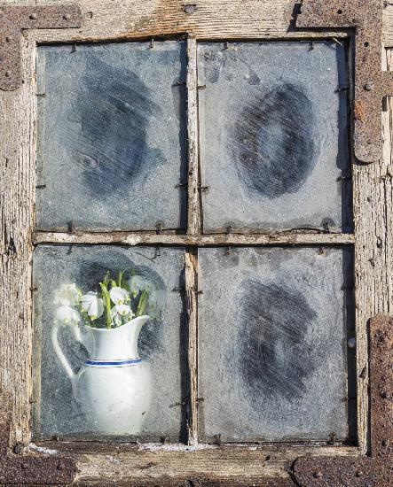 Flowers in the window