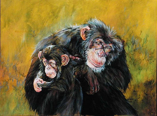 Chimpanzees (acrylic on canvas)  a Odile  Kidd