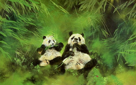 Pandas, 1998 (acrylic and pencil on canvas)  a Odile  Kidd