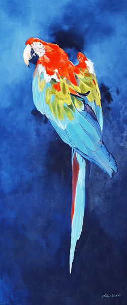 Red and Blue Macaw, 2002 (acrylic on linen)  a Odile  Kidd
