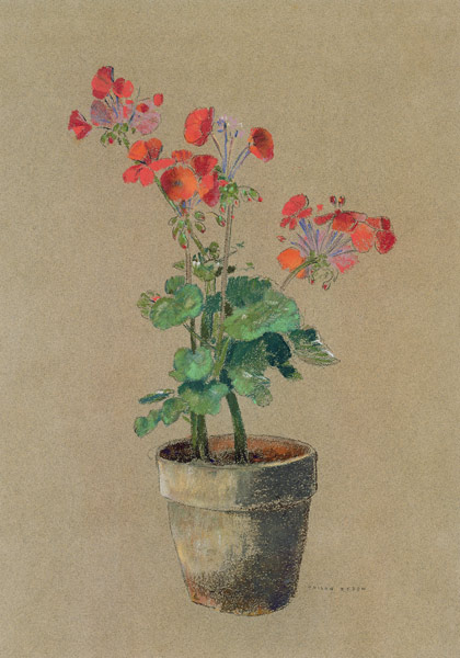 Geraniums in a pot (pastel) a Odilon Redon