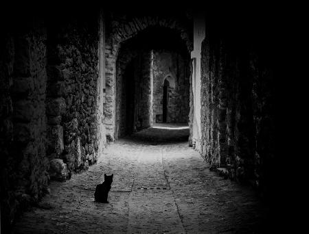 Black Cat Path