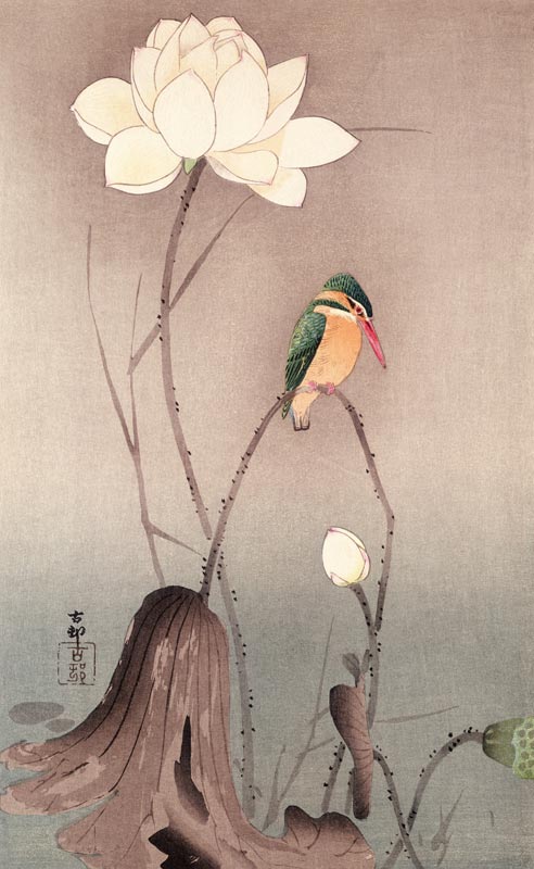 A Kingfisher and a lotus a Ohara Shôson