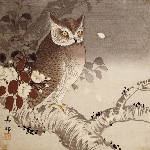 An owl on a tree branch, (colour woodblock print) a Ohara Shôson