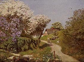 Spring landscape.