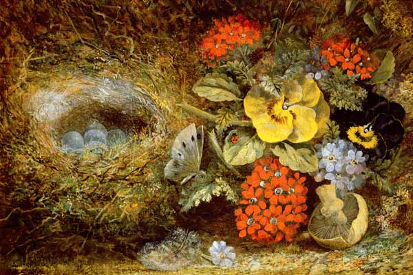 Flowers and Bird's Nest with Butterfly and Mushroom a Oliver Clare