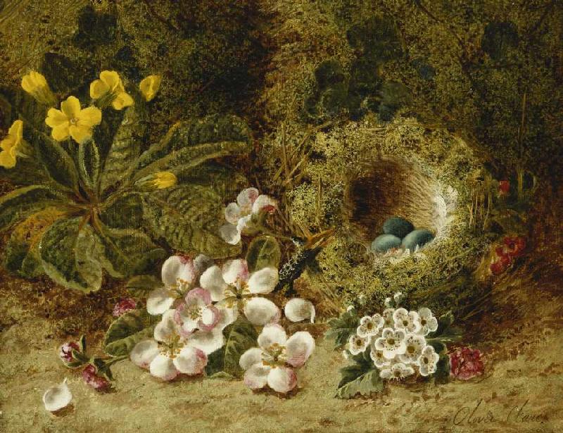 Apfelblüten, eine Primel und ein Vogelnest im Moos. a Oliver Clare