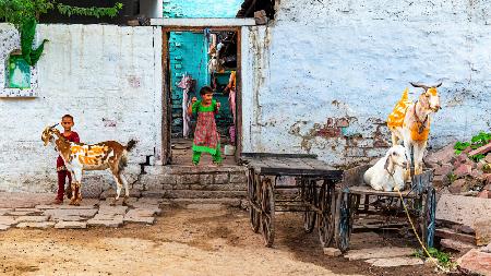 Daily life in Fatehpur Sikri