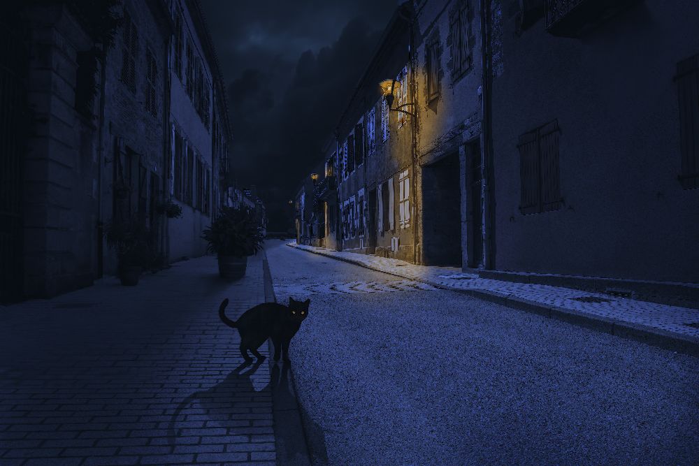 Le Chat Noir a Omar Brunt