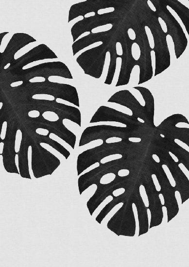 Monstera Leaf Black &amp; White III