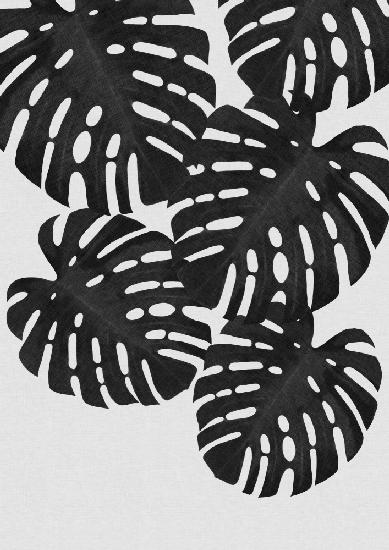 Monstera Leaf Black & White I