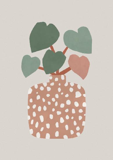 Terrazzo & Heart Plant