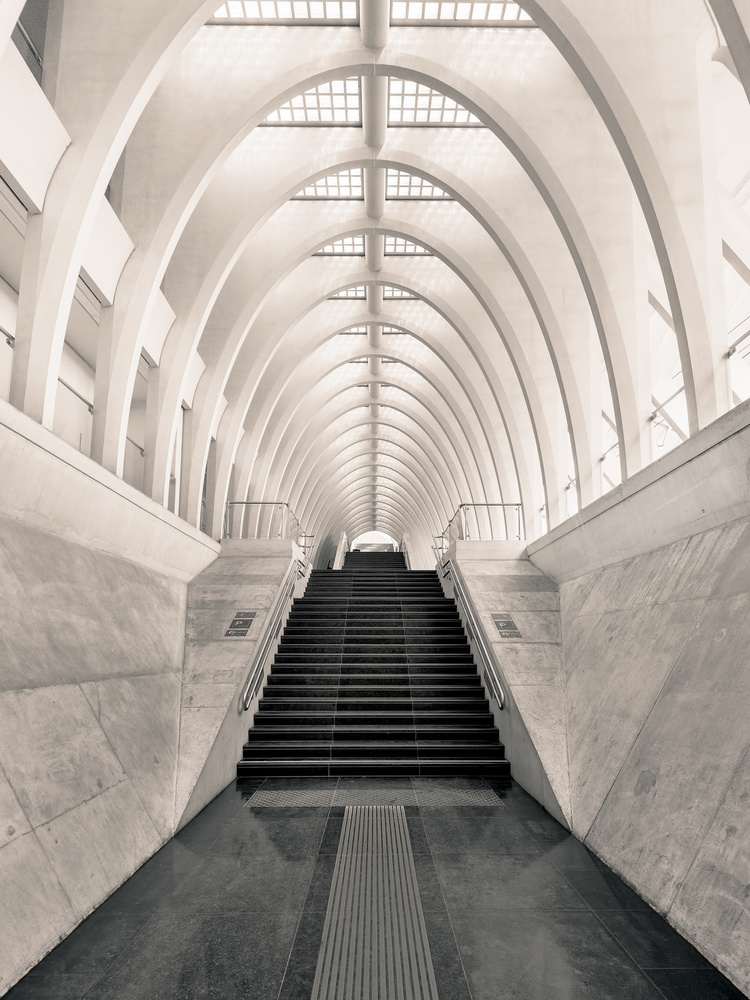 Inside Calatrava a Oscar Lopez