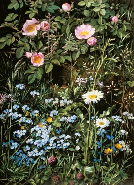 Game roses, forget-me-not and Margueriten a Otto Diderik Ottesen