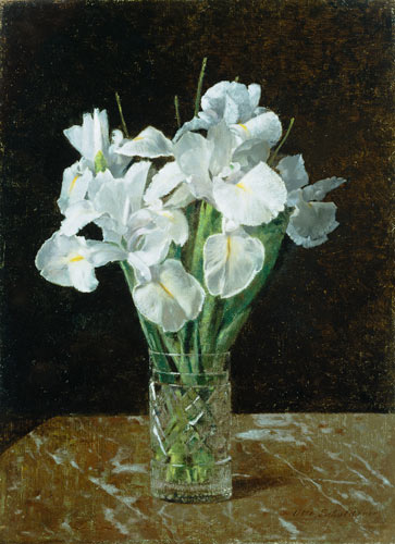 Irises a Otto Franz Scholderer