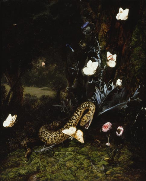 Grashüpfer, Schlange und Schmetterlinge bei einer Distel a Otto Marseus van Schrieck