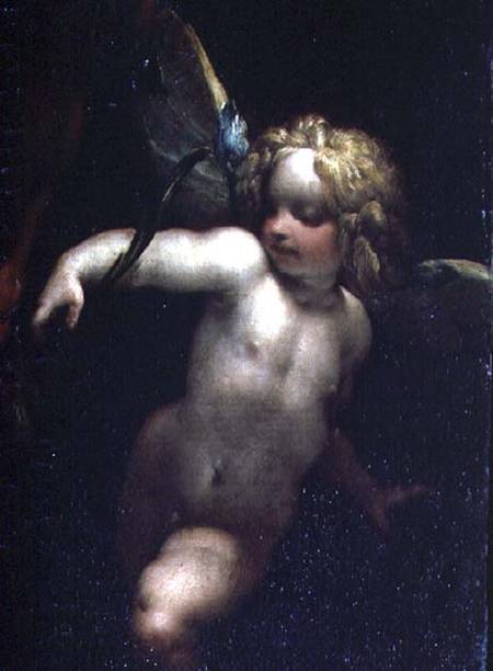 The Martyrdom of SS. Rufina and Seconda, known as the 'three-handed picture', detail of an angel, pa a P. Crespi