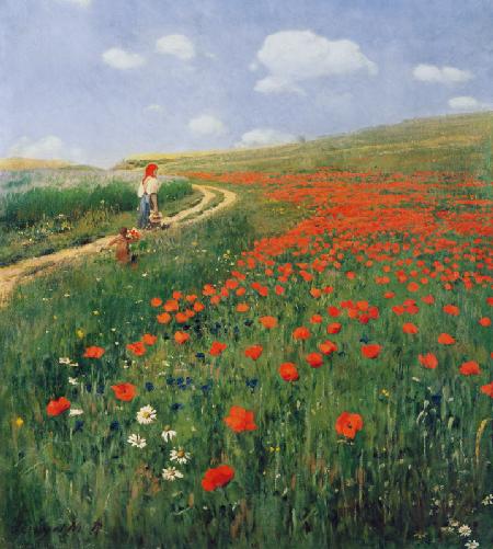 Paesaggio estivo con papaveri in fiore