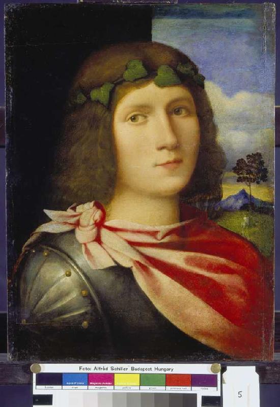 Half-length portrait of a juvenile. a Palma il Vecchio (eigentl. Jacopo Negretti)