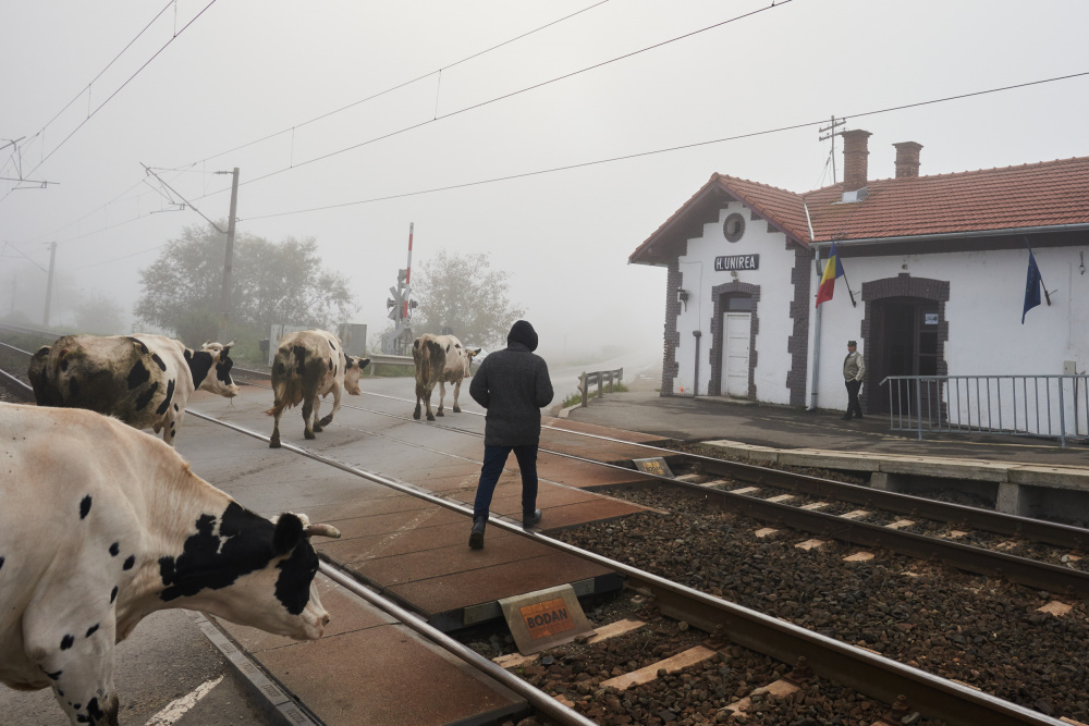 Morning at the Station a Panfil Pirvulescu