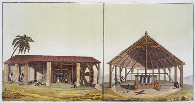 Slaves at work in the sugarmills, Antilles (colour engraving) a Paolo Fumagalli