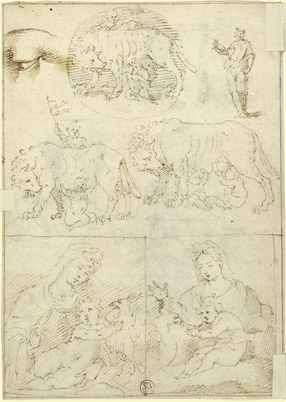Studienblatt: Wölfin mit Romulus und Remus sowie Madonna a Parmigianino