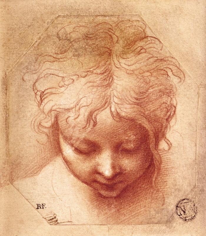 Study of a Head a Parmigianino