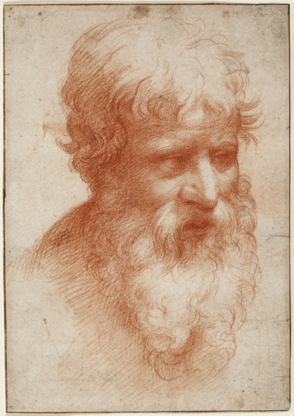 Head of a Bearded Man, looking right a Parmigianino
