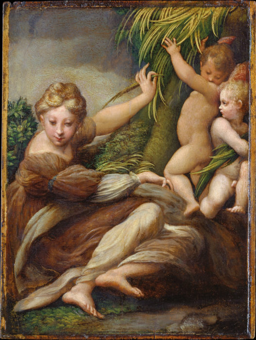 Female Martyr with Angels (Saint Catherine of Alexandria?) a Parmigianino