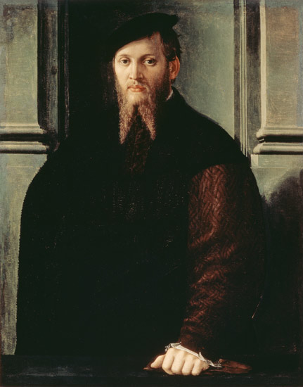 Portrait of a Man a Parmigianino