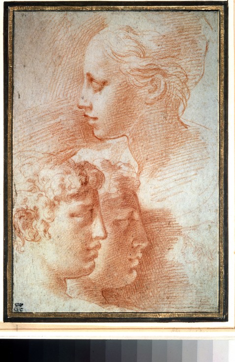 Study of the heads a Parmigianino